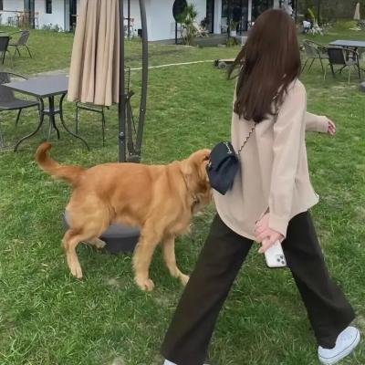 凄艳断肠花